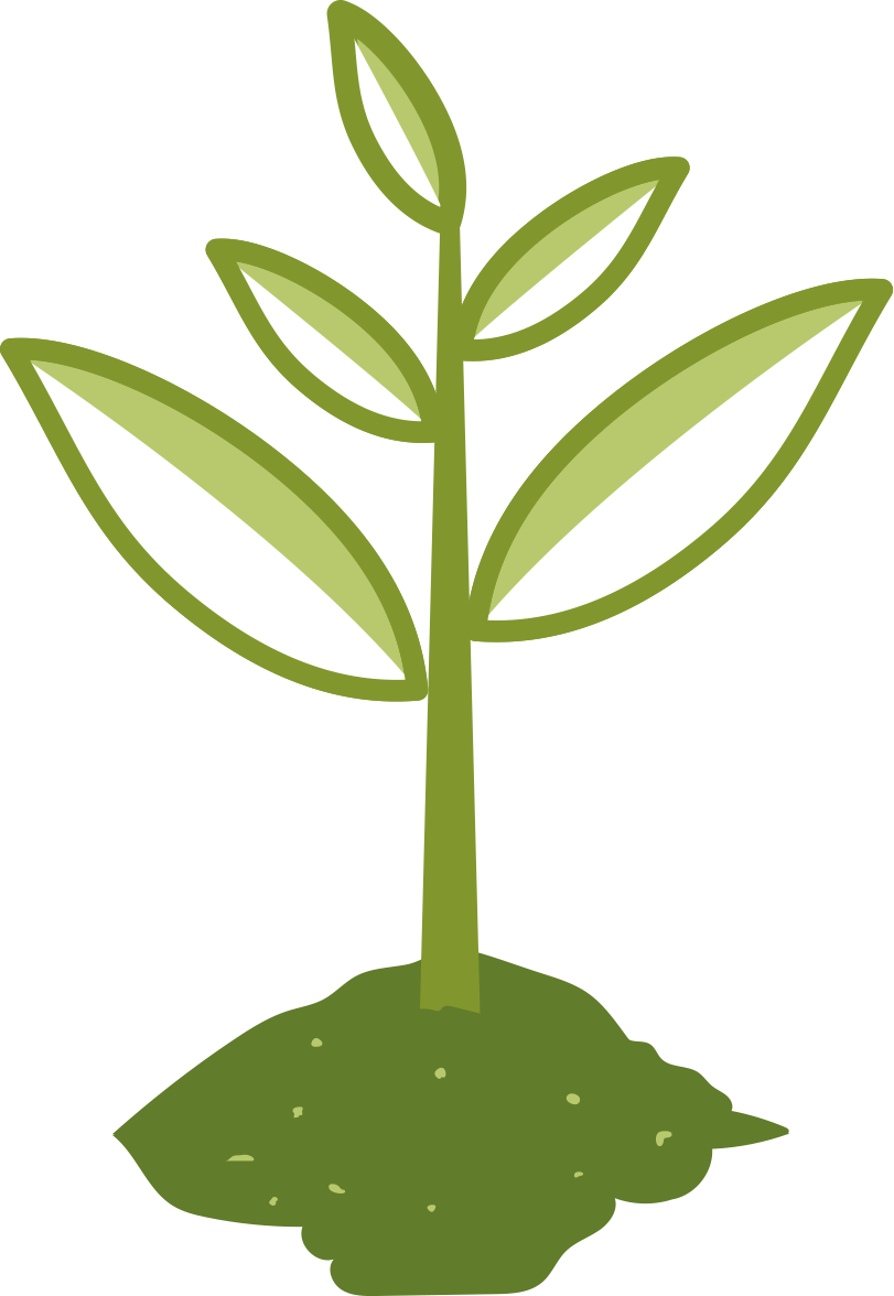 Absorbent-natural Clipart (811x1176), Png Download