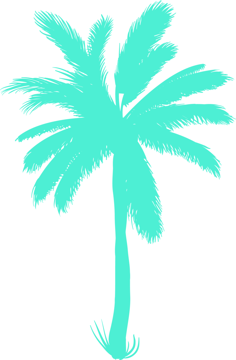 Palm Trees Clipart (788x1200), Png Download