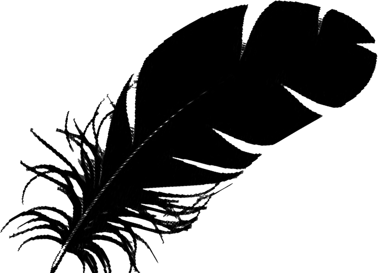 1550 X 1118 8 - Single Black Feather Clipart (1550x1118), Png Download