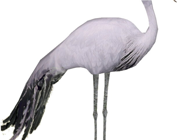 Crane Clipart Blue Crane - Crane - Png Download (640x480), Png Download