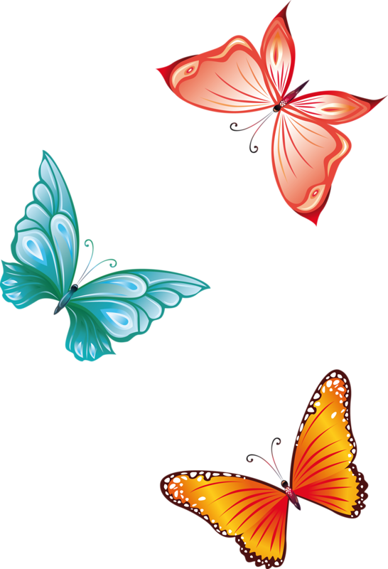 Фото, Автор Elena-soloveika На Яндекс - Butterfly Clipart No Background - Png Download (546x800), Png Download