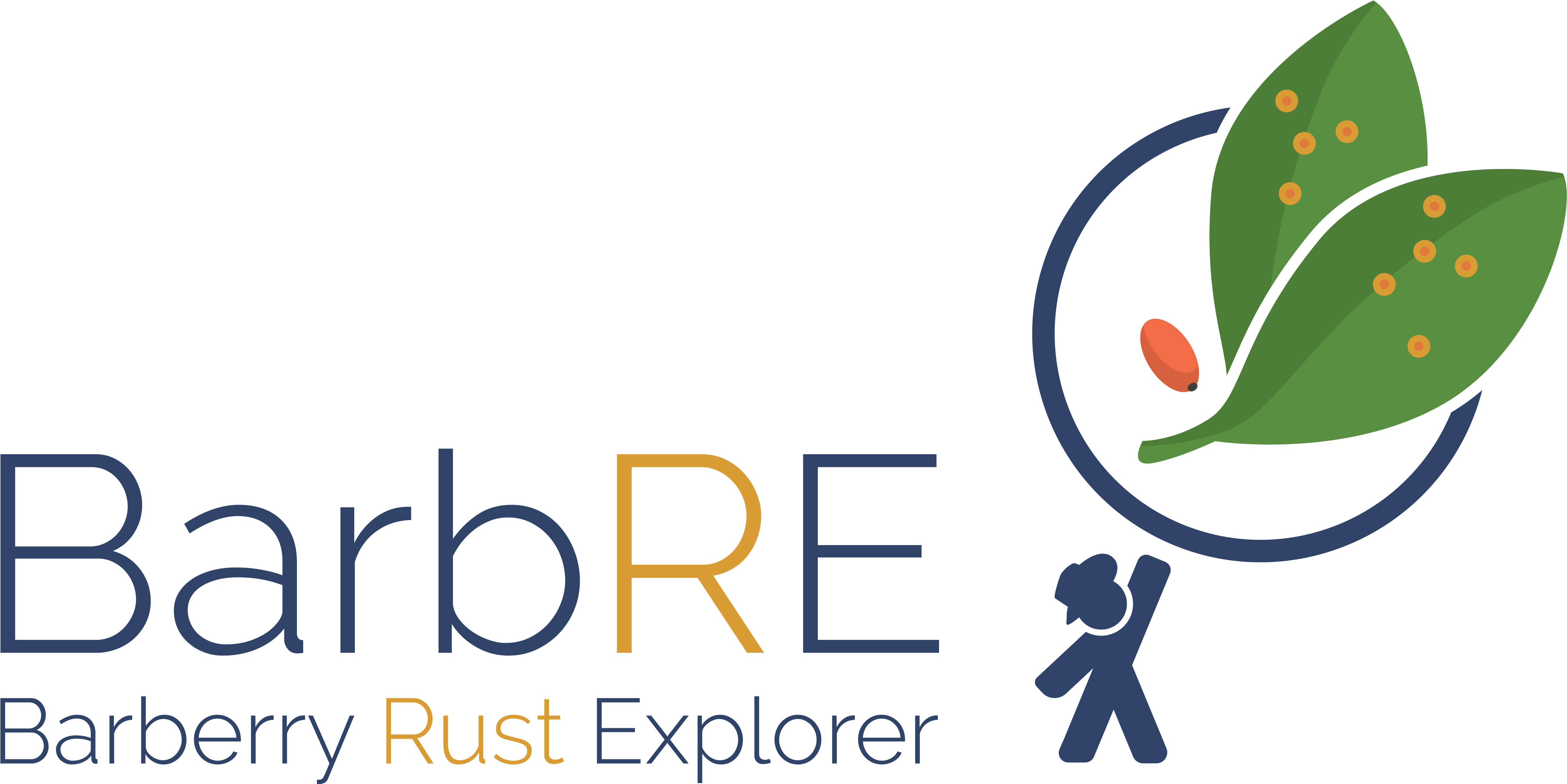 Barberry Rust Explorer Tracking Common Barberry Across Clipart (5280x2598), Png Download