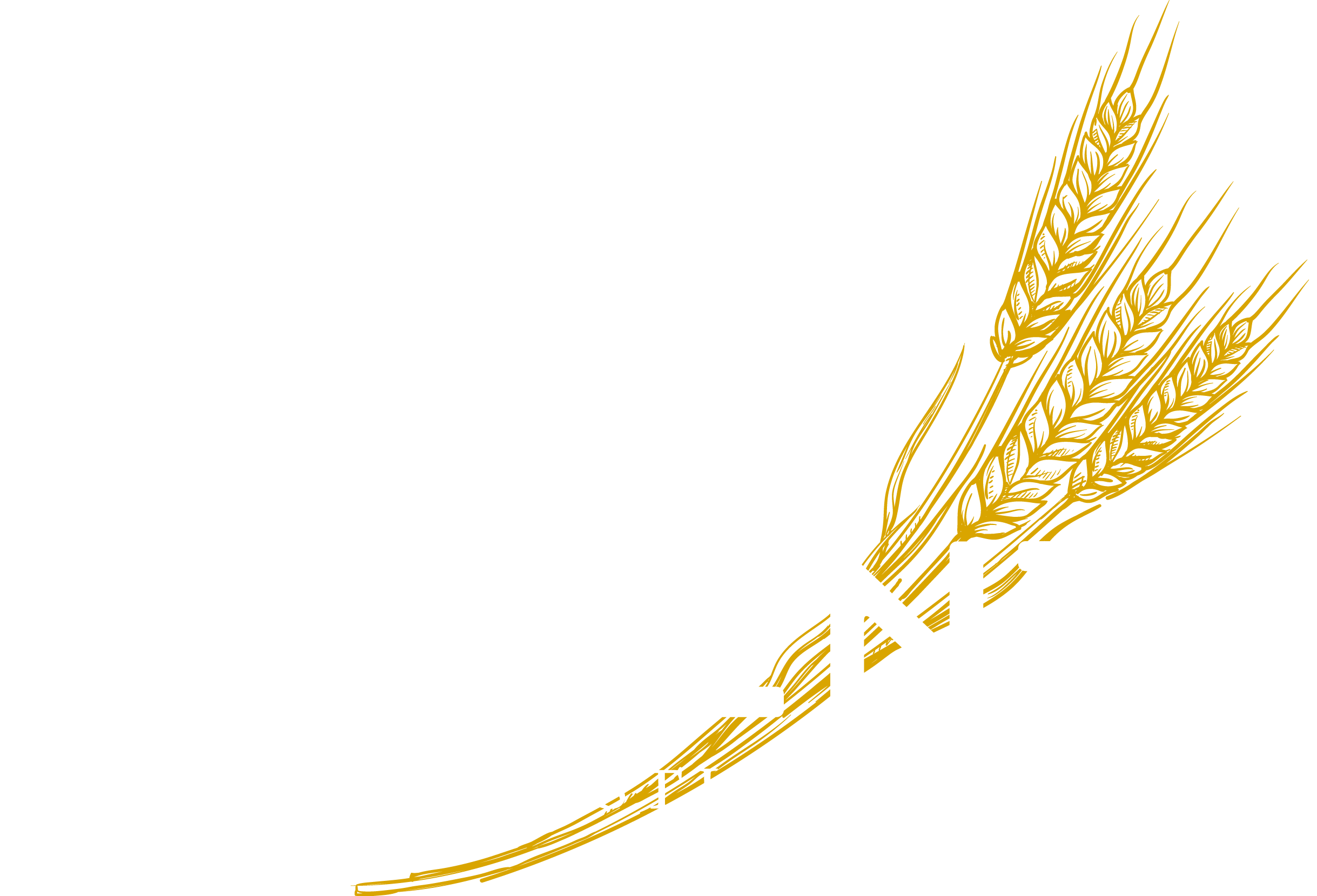 Pasta Lab & Wine Shop - Graphic Design Clipart (2438x1659), Png Download