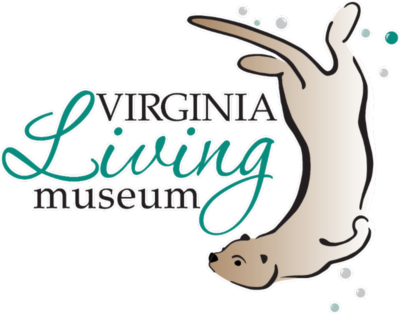 Excavated From A Site In Yorktown, This Is The First Clipart (800x628), Png Download