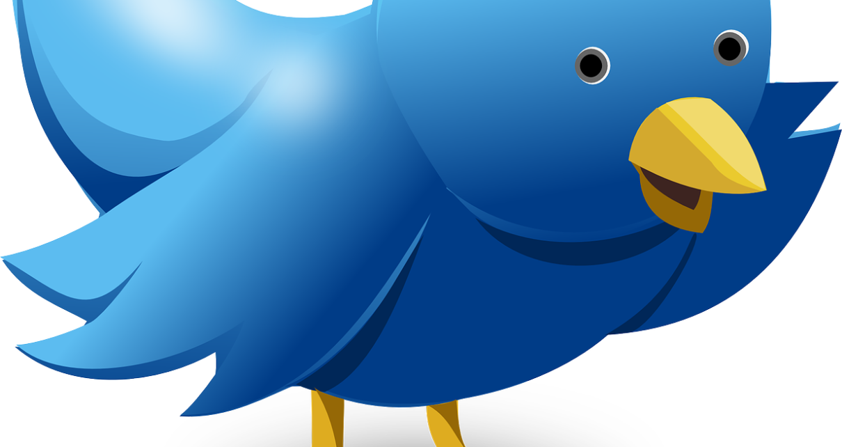 Ethereum's Vitalik Buterin Appeals To Twitter Founder - Computer Logo With Bird Clipart (1210x642), Png Download