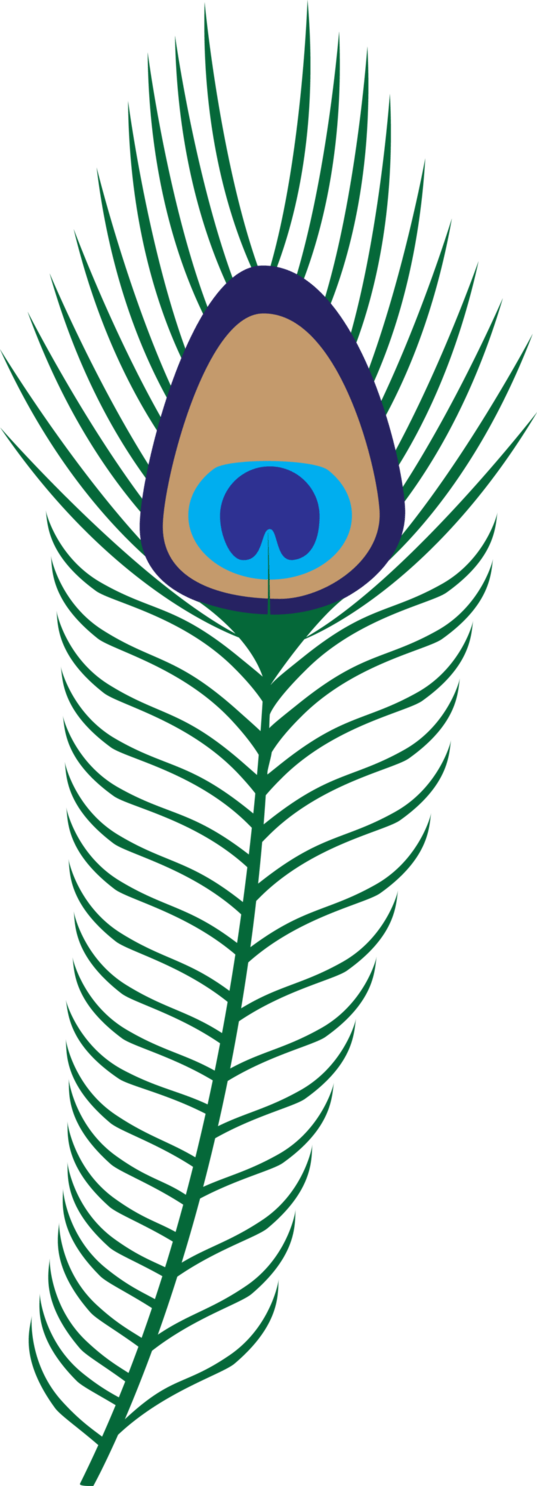 Transparent Background Png Format Peacock Feathers Clipart (537x1486), Png Download