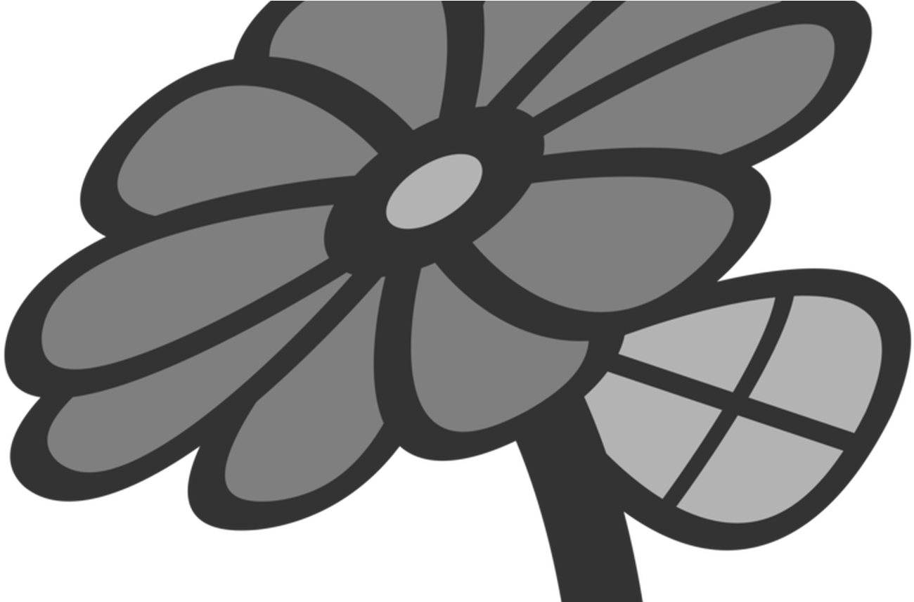 Symbol Flower Petal Common Daisy Sign Free Commercial - Clip Art - Png Download (1368x855), Png Download