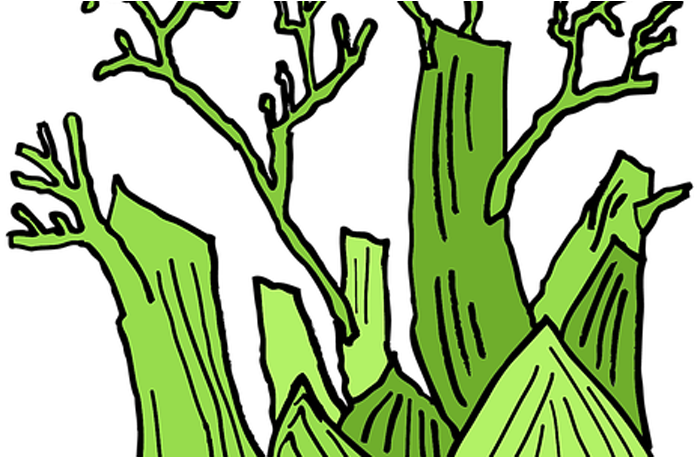 Bad Breath, Oral Hygiene, Cure, Remedies, Fennel, Oral - Fennel Plant Drawing Clipart (772x456), Png Download