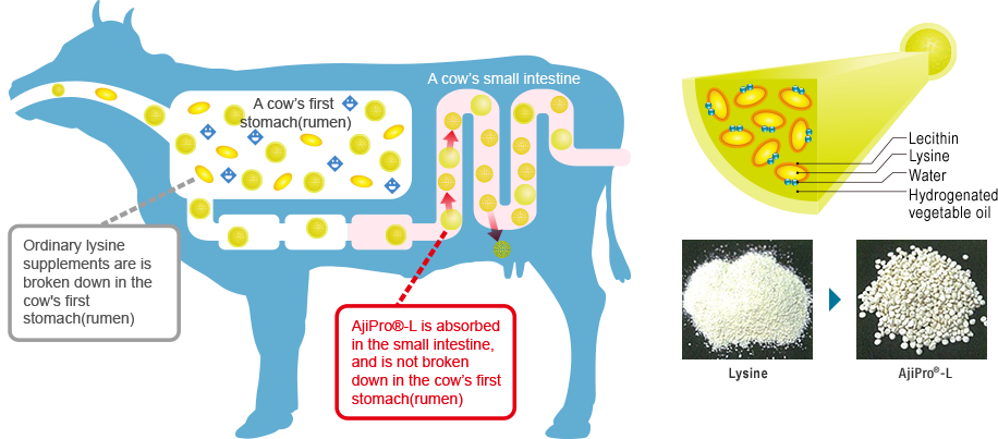 Source Clipart (916x403), Png Download