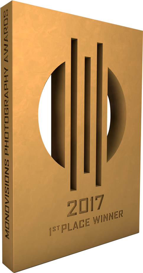 Monovisions Awards 2017 1st Place - Graphic Design Clipart (1000x1000), Png Download