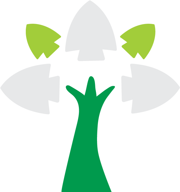 Tree Icon Clipart (684x740), Png Download