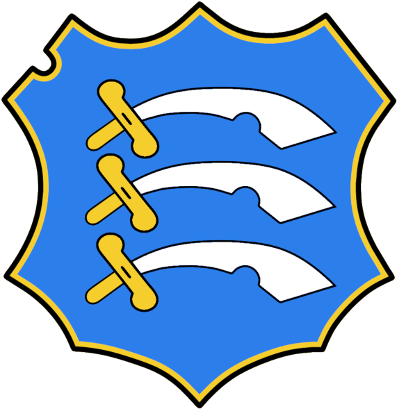 More Projects - Essex Cricket Clipart (800x600), Png Download