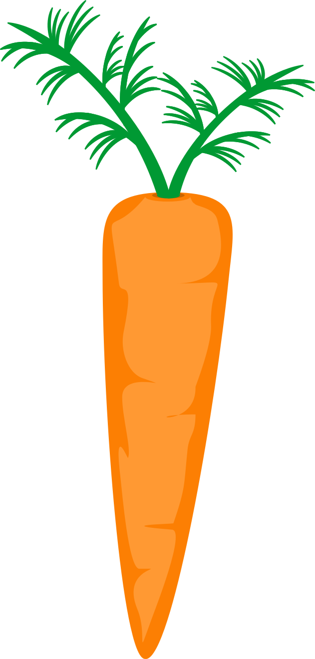 Carrot - Clip Art - Png Download (631x1321), Png Download