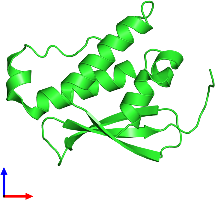 Pdb 2wwe Coloured By Chain And Viewed From The Front - Graphic Design Clipart (800x800), Png Download