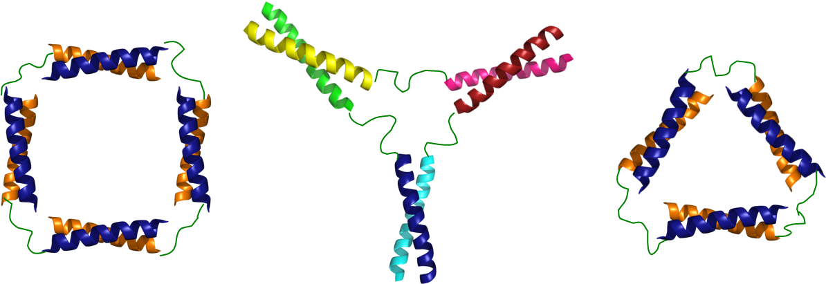 Some Designs For Coiled-coil Nanostructures - Peptide Self Assembly Coiled Coil Clipart (1208x467), Png Download