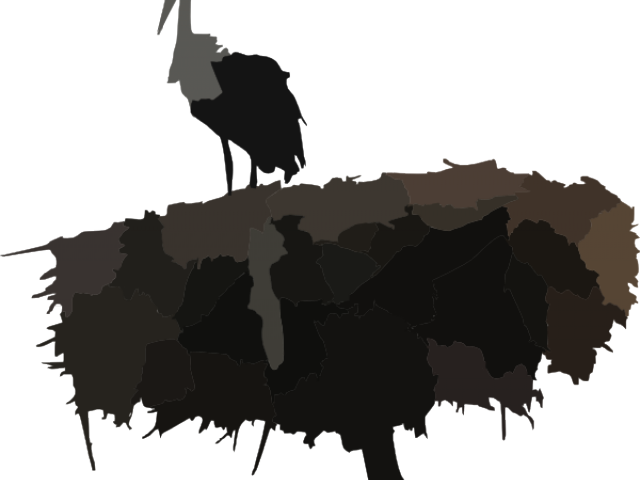 Nest Clipart Ostrich - Stork Nest Png Transparent Png (640x480), Png Download