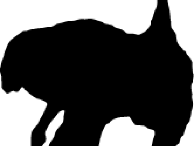 Ostrich Clipart Silhouette - Dog - Png Download (640x480), Png Download