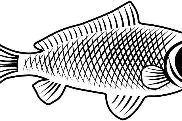 Carp Clipart Golden Carp - Tubo In Gomma Per Irrigazione - Png Download (640x480), Png Download