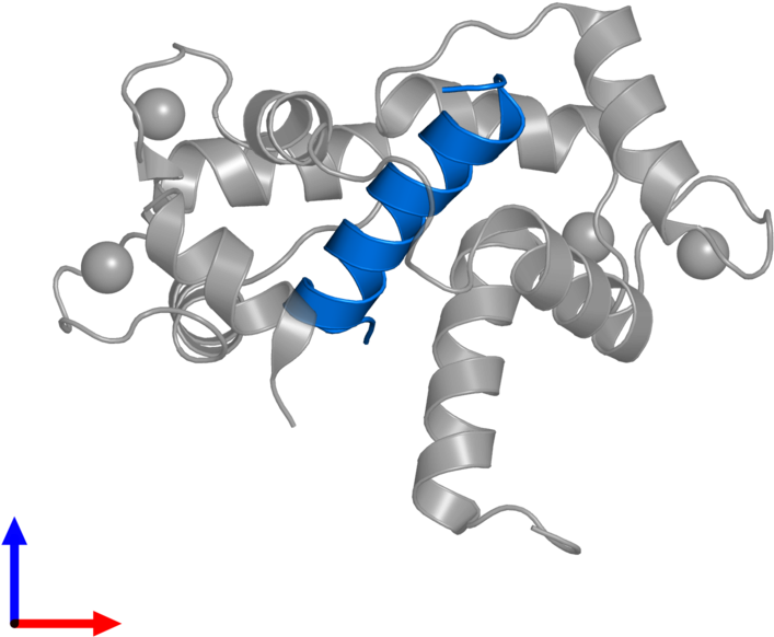 <div Class='caption-body'>pdb Entry 2o60 Contains 1 - Scorpion Clipart (800x800), Png Download