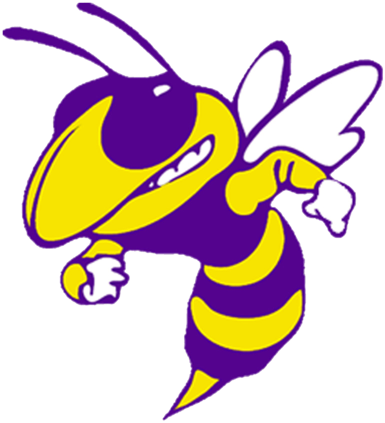 Blue Ridge Yellow Jackets - Blake High School Yellow Jacket Clipart (900x900), Png Download