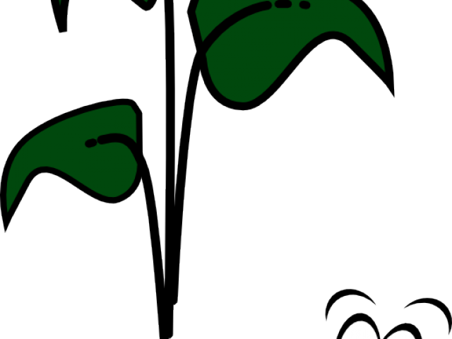 Dirt Clipart Bean Seedling - Png Download (640x480), Png Download