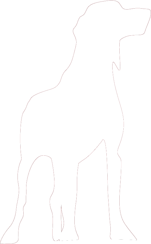 Farmers Market - Silhouette Clipart (578x832), Png Download