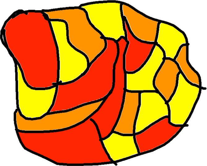 Cells - Apple Cells Clipart (669x536), Png Download