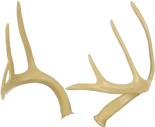 Deer Antlers Transparent Transparent Background - Antler Clipart (600x600), Png Download