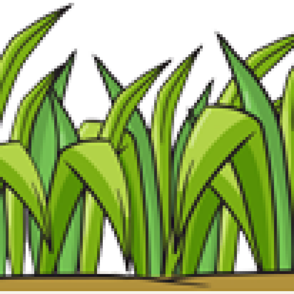 Grass - Imagenes Animadas Zacate Clipart (1024x1024), Png Download