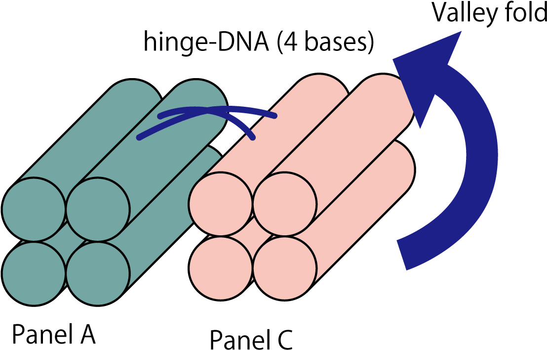 7 Hinge Dna Clipart (1500x857), Png Download