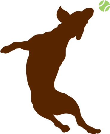 Dog Catches Something Clipart (680x486), Png Download