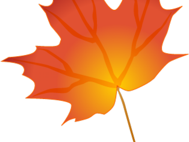 Autumn Leaves Clipart October Leaves - Dessin Feuille Automne Couleur - Png Download (640x480), Png Download