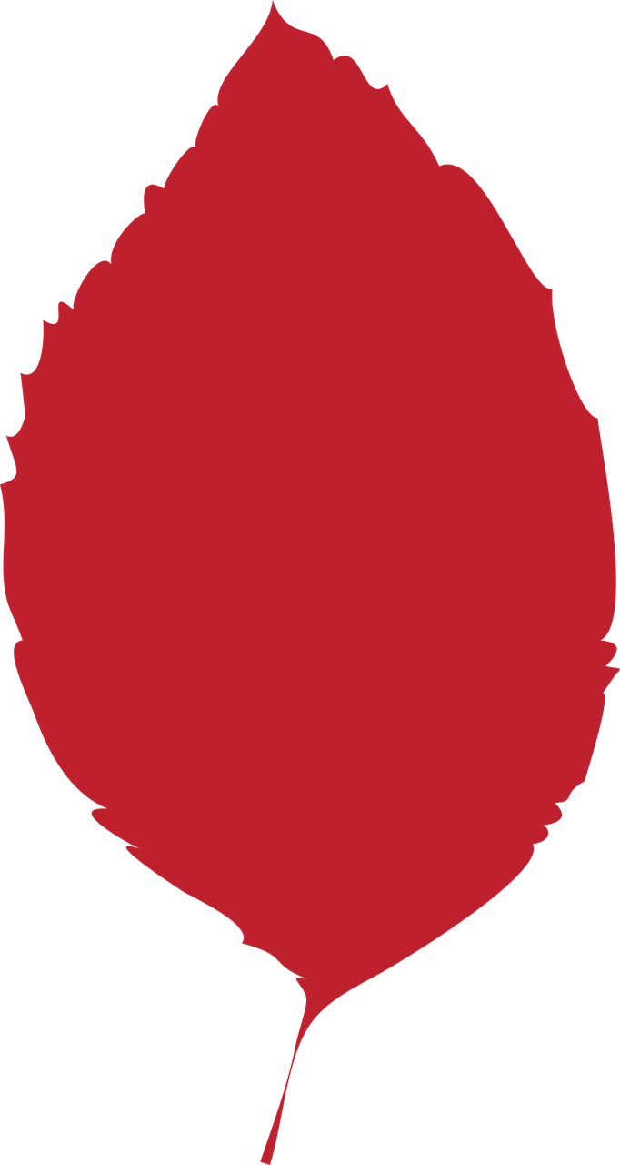 Leaf Autumn Leaf Dry Leaf Clipart (682x1280), Png Download