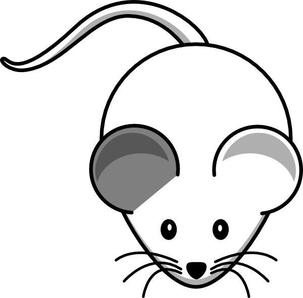 This Free Clip Arts Design Of White Mouse Right Grey - Png Download (600x591), Png Download