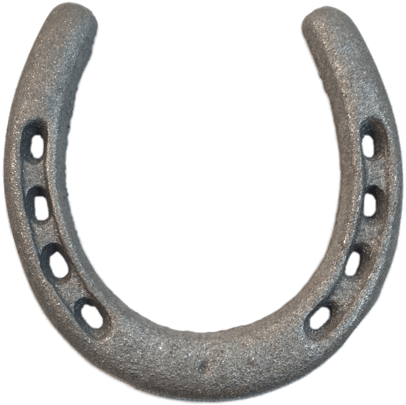 Download Iron Horseshoe Transparent Png - Circle Clipart (1000x1000), Png Download