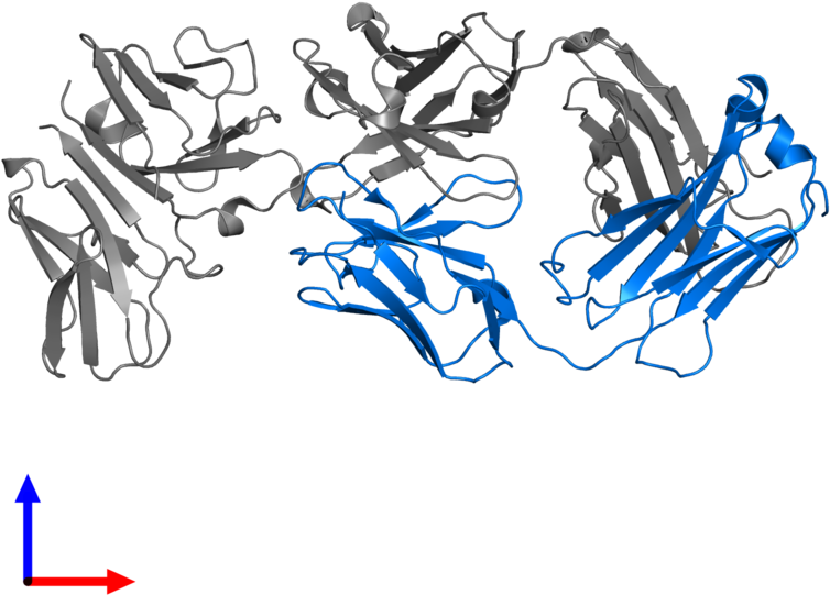 <div Class='caption-body'>pdb Entry 1sy6 Contains 1 - Illustration Clipart (800x800), Png Download