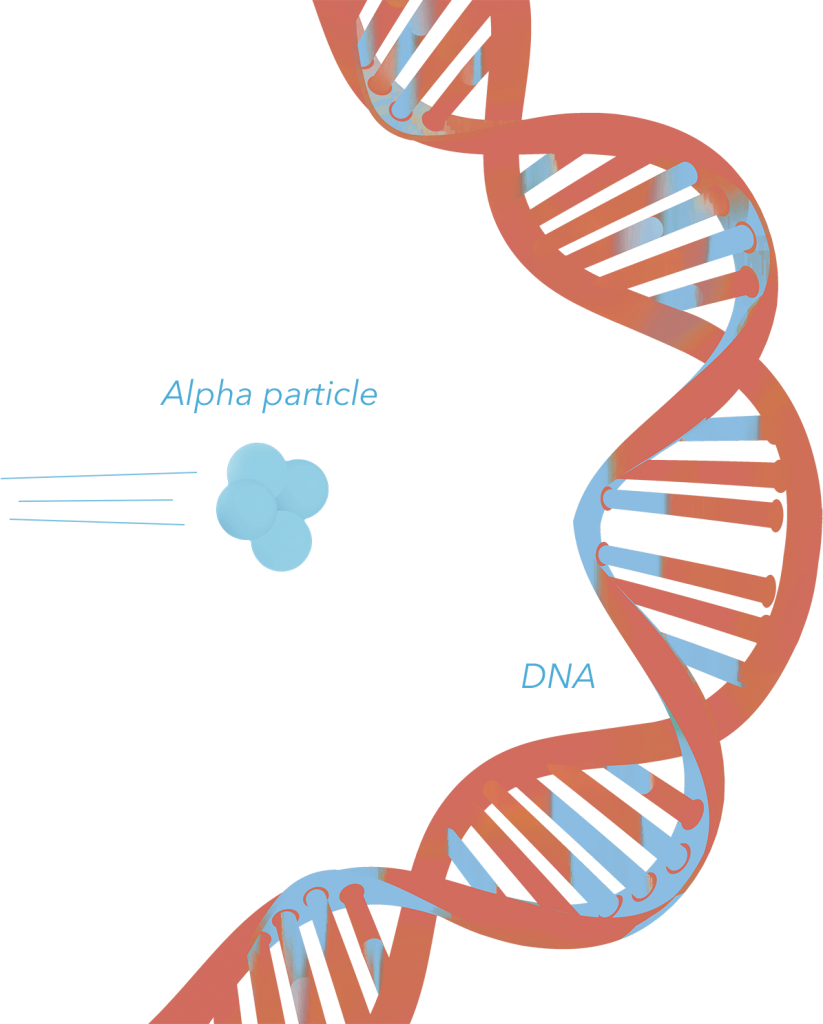 Radiation & Dna - Dna Clipart (823x1024), Png Download