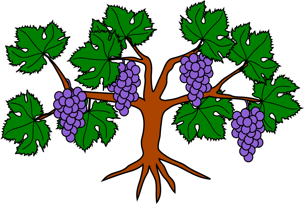 320 × 226 Pixels - Heraldic Grapes Png Clipart (1024x724), Png Download