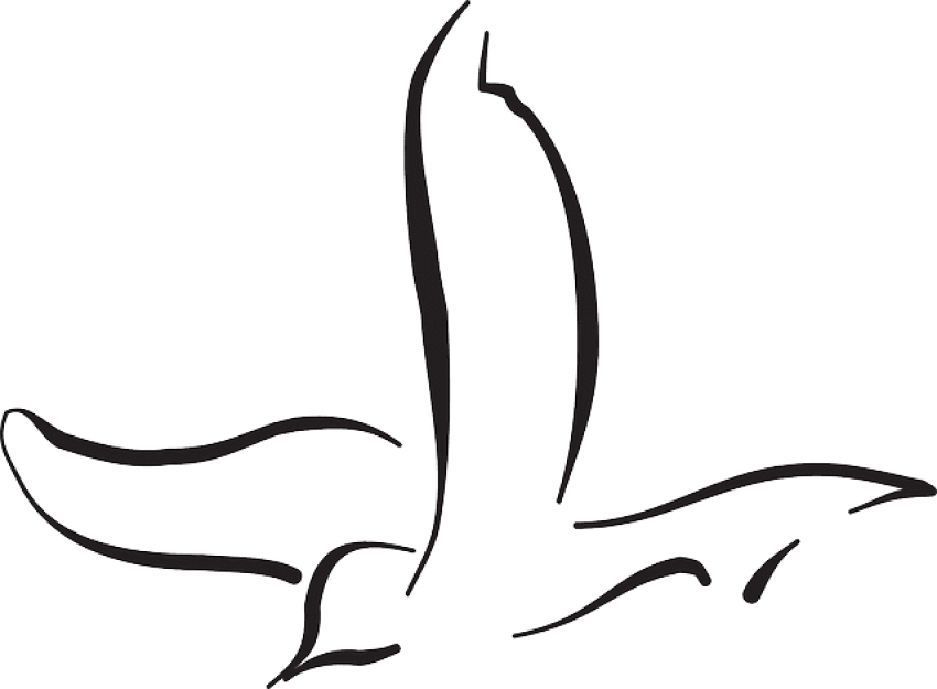 Free Png Download Flying Bird Line Drawing Png Images - Bird Flying Drawing Png Clipart (850x625), Png Download