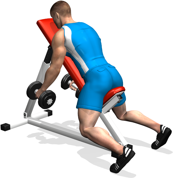 Bent Over Dumbbell Lateral Raise - Alzate A 90 Su Panca Clipart (700x700), Png Download