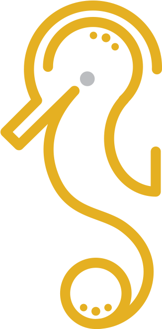 Seahorse Clipart (700x700), Png Download