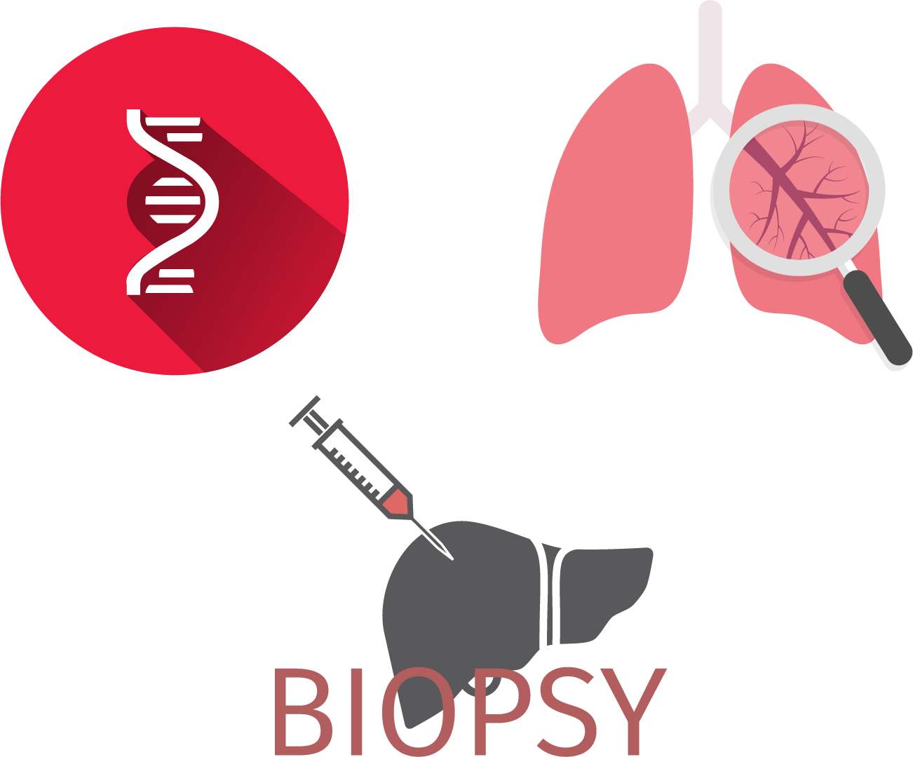 Home » Paragon Assay » Tissue Clipart (1302x1080), Png Download