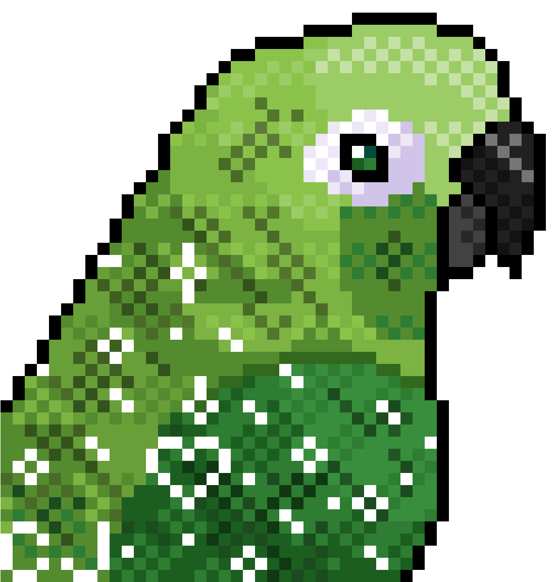 1200 X 1200 2 - Green Cheeked Conure Art Transparent Clipart (1200x1200), Png Download