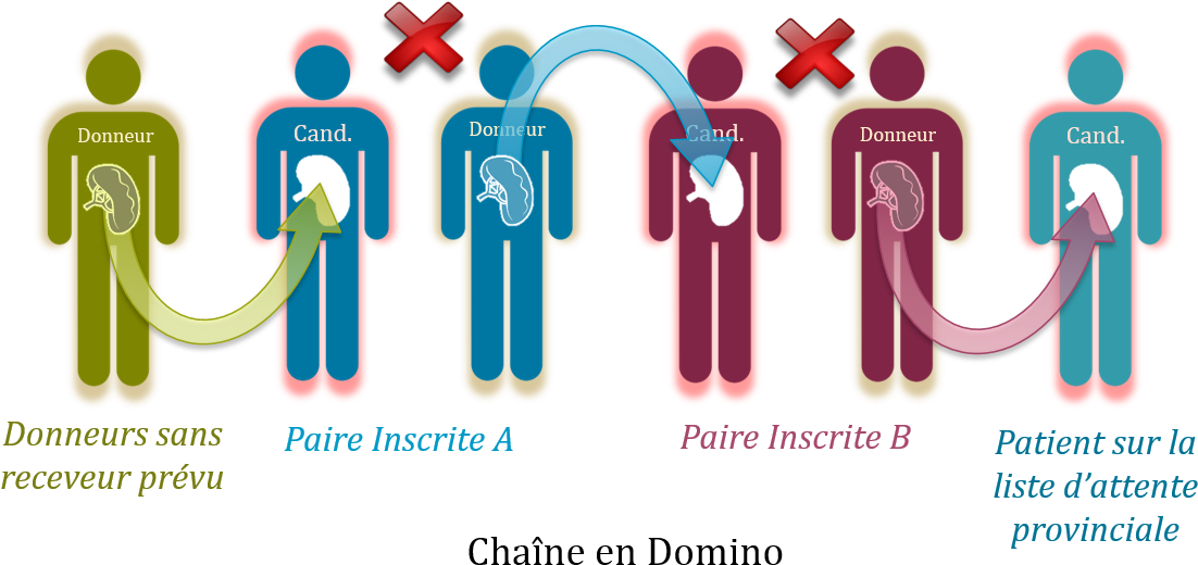 Domino Chain Cand Finalfr - Find The Right People Clipart (1169x556), Png Download