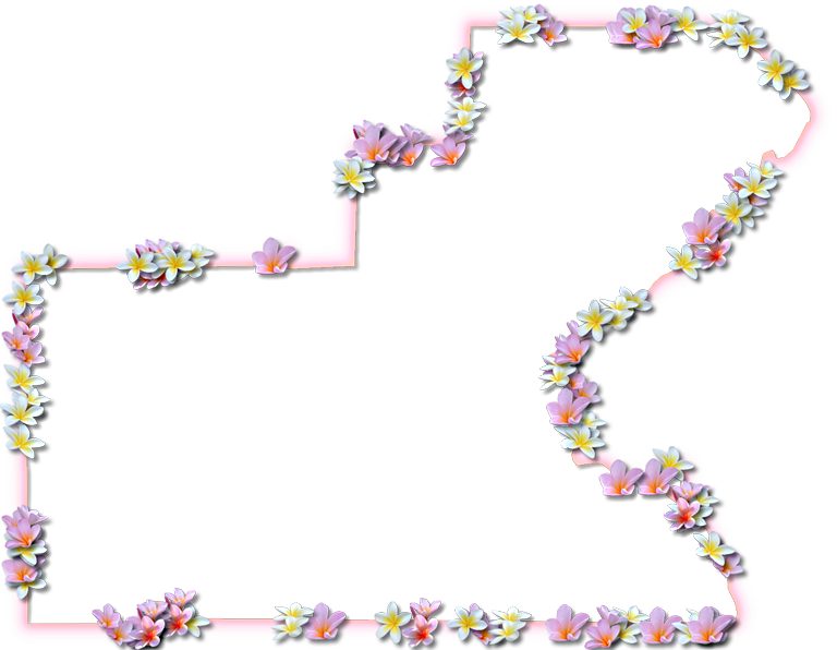 A Map Of Glades With A Coral Color Glow Border And - Illustration Clipart (768x596), Png Download