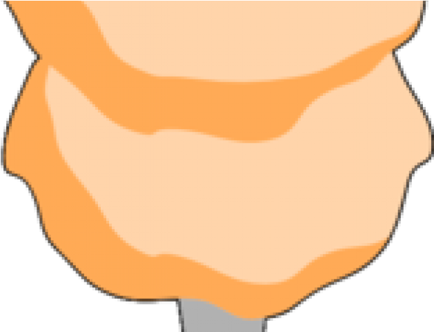 Cotton Clipart Transparent - Taller 5 - Png Download (640x480), Png Download