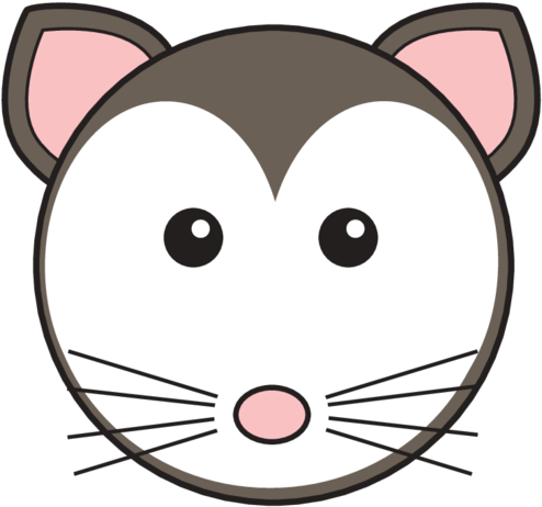 Animaru Possum - Cartoon Clipart (800x800), Png Download