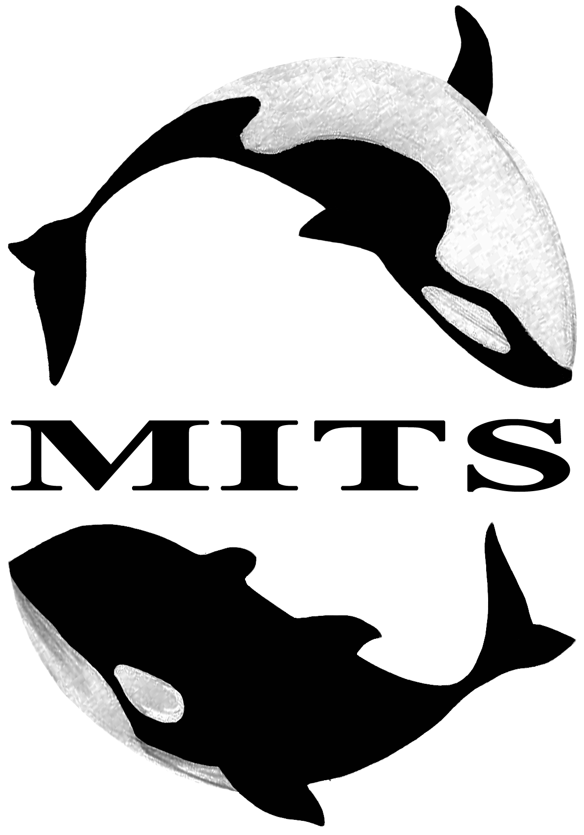 Dolphins Snorkeling Clipart (1240x1748), Png Download