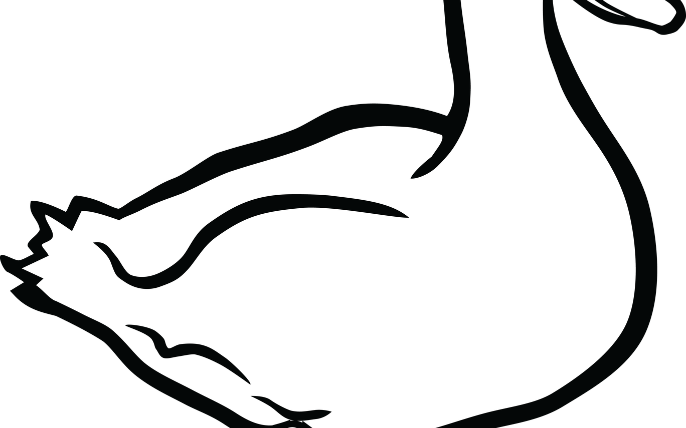 Duck Black And White Clipart 101 Clip Art - Png Download (1368x855), Png Download