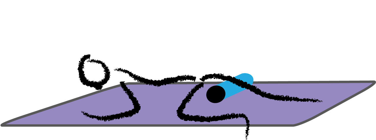 Magically Hips-roll Out The Hip Flexors Clipart (1386x593), Png Download